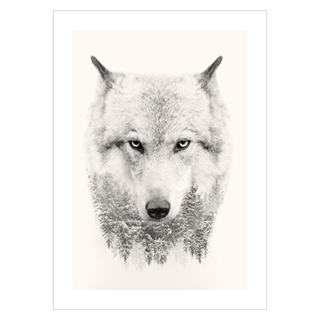 Plakat av ulvehode