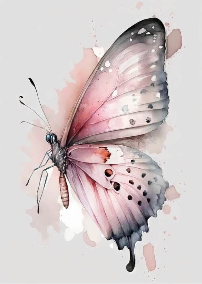 Plakat - Sommerfugl pink, mint