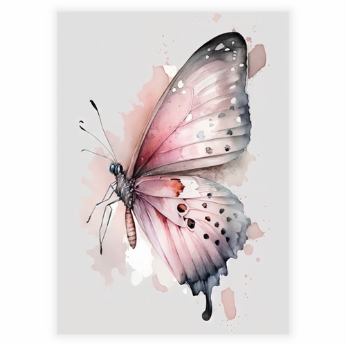 Plakat med vakker sommerfugl i rosa og mint