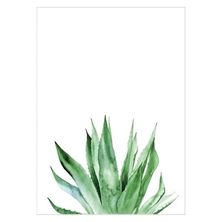 Plakat - Agave