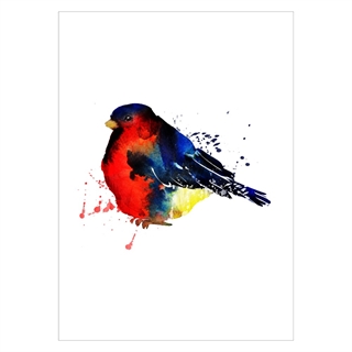 Plakat med bilde av en dompap fugl