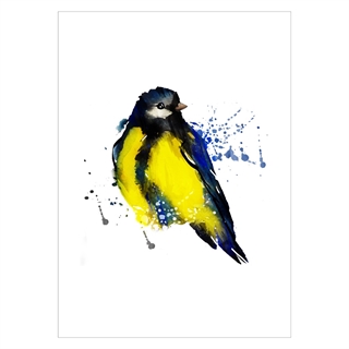 Plakat med gul fugl - Tomtit