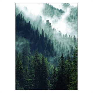 Plakat med fjell skog og tåke
