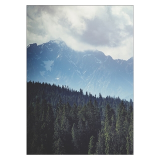 Plakat med grønt fjellskog landskap