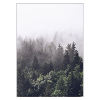 Plakat med skogkledd fjell
