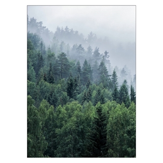 Plakat med trær på fjell med tåke