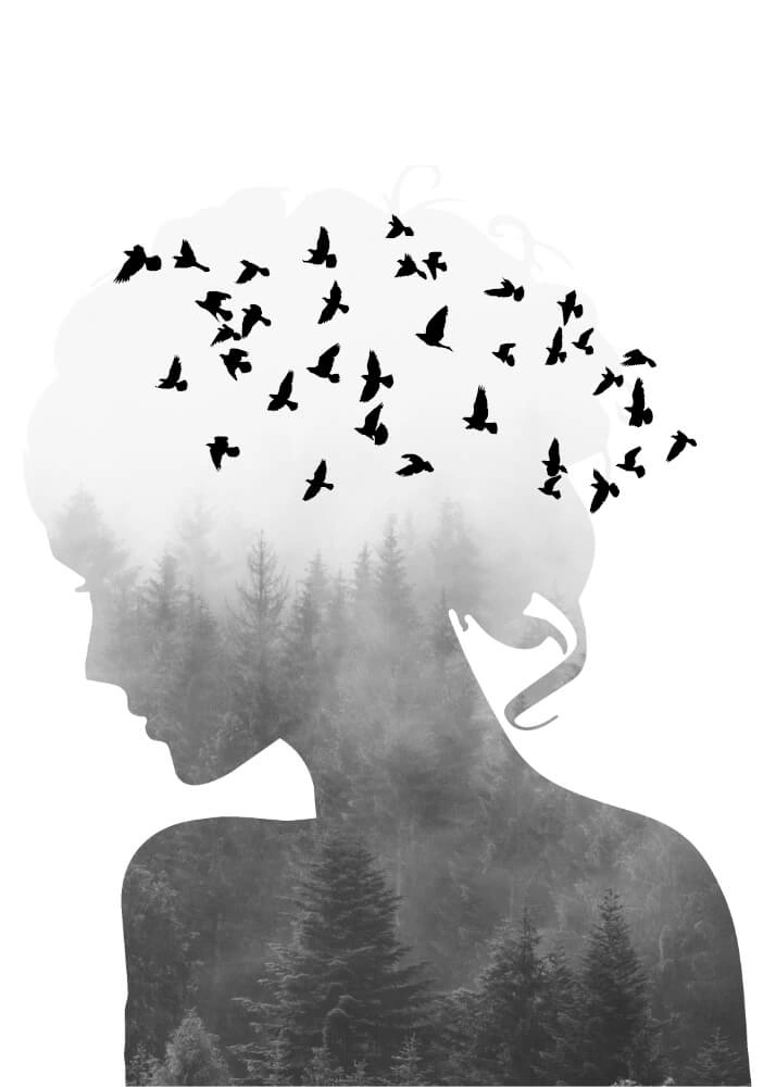 Plakat - Silhouette Women and Birds