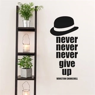 Never never give up - wallstickers